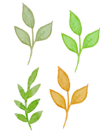 Set of vector watercolor floral elements for designのイラスト素材