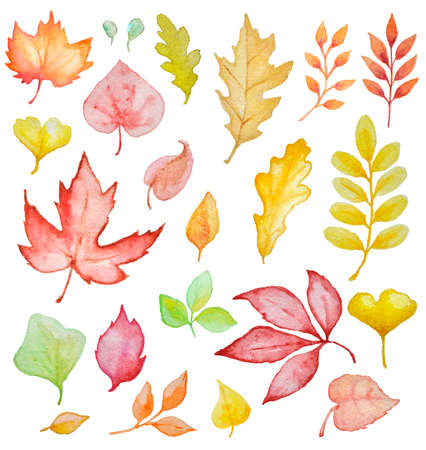 Set of hand drawn watercolor autumn leavesの写真素材