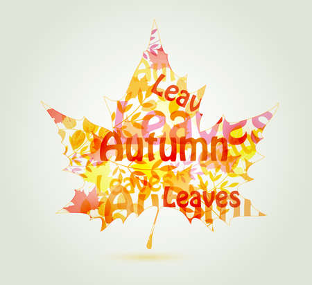 Abstract autumn maple leaf with decorative typographyのイラスト素材