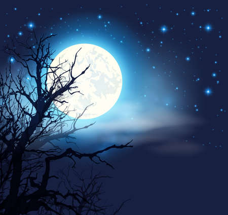 Night sky with a full moon and silhouette of treeのイラスト素材