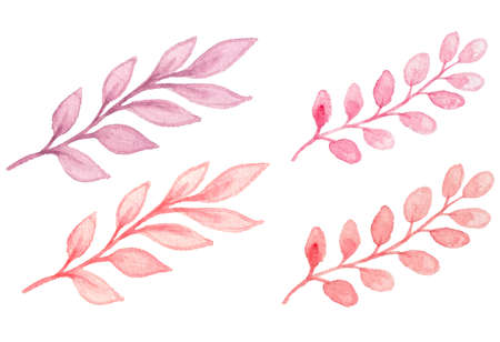Set of pink watercolor branchesのイラスト素材