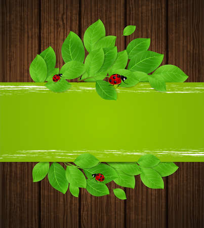 Green horizontal banner with leaves and ladybug on a wooden background. Vector illustration.のイラスト素材