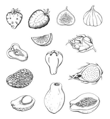 Set of hand drawn tropical fruits. Black and white pencil sketch.の写真素材