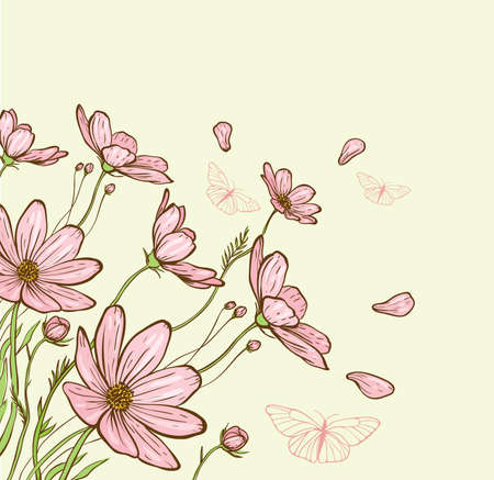 Decorative background with pink cosmos flowers and butterflies. Hand drawn vector illustration.のイラスト素材