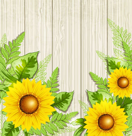 Summer background with green leaves and sunflowers. illustration.のイラスト素材