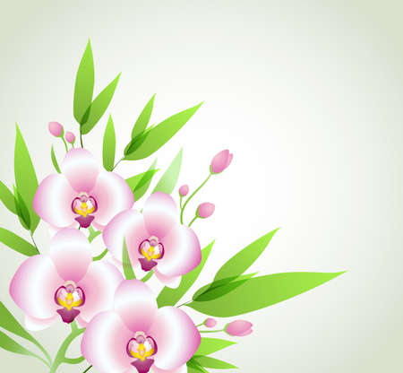 Decorative floral background with pink orchids and green leaves. Vector illustration.のイラスト素材