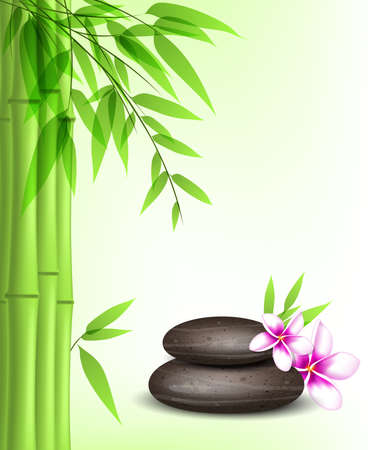 Vector background with green bamboo, spa stones and tropical flowers.のイラスト素材
