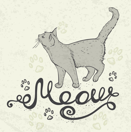 Background with cat and lettering "Meow". Hand drawn vector illustration.のイラスト素材