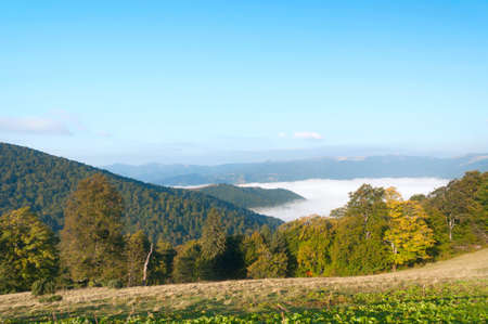 Autumn nature landscape with mountains, trees and fog. Carpathian Mountains.の写真素材