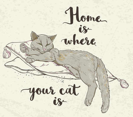 background with cat on pillow and lettering.のイラスト素材