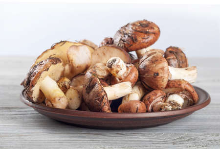 Edible wild mushrooms on a wooden background. Forest mushrooms in a clay plate.の写真素材