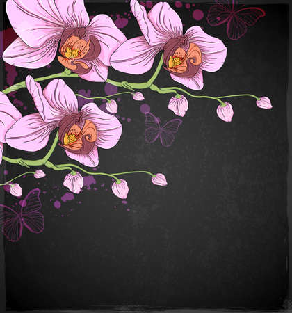 Pink orchids and butterflies on a black background. Hand drawn vector illustration.のイラスト素材