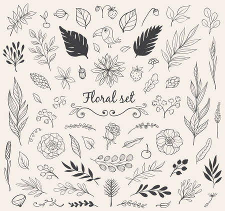 Set of hand drawn vector nature doodles. Decorative floral design elements.のイラスト素材