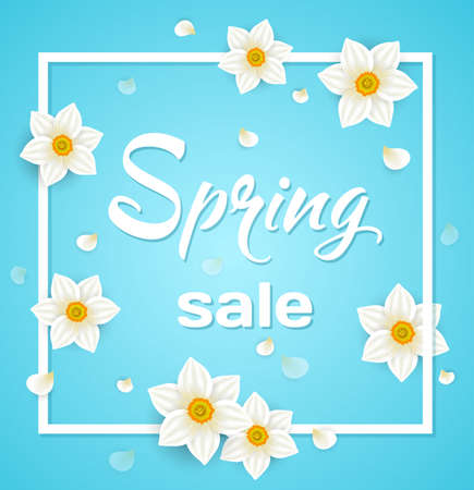 Spring blue background with daffodil flowers in white frameのイラスト素材