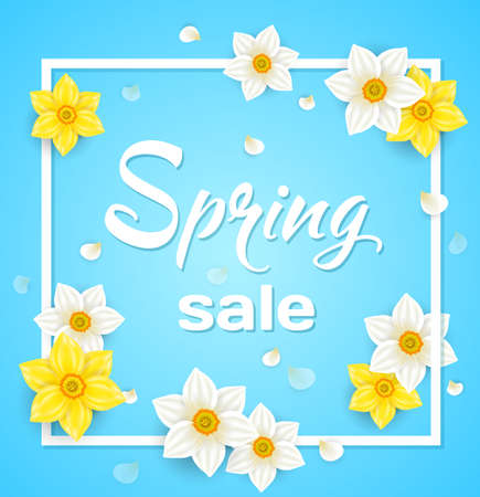Spring blue background with daffodil flowers in white frameのイラスト素材