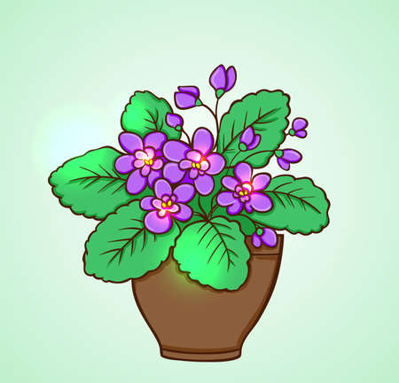 Blooming violets in a flowerpot on a green background. Hand drawn vector illustration.のイラスト素材