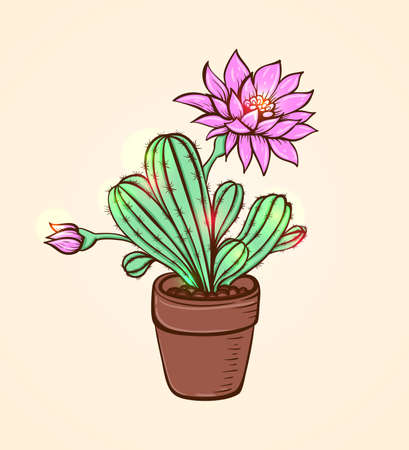 Blooming pink cactus in a flowerpot. Hand drawn vector illustration.のイラスト素材