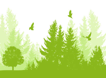 Nature landscape with green firs and birds. Vector floral background.のイラスト素材