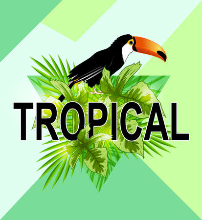 Green triangle with palm leaves and toucan bird. Abstract geometric tropical summer background.のイラスト素材
