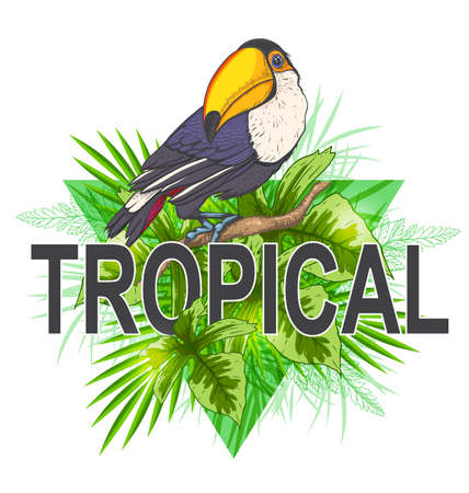 Green triangle with palm leaves and toucan bird on a white background. Tropical summer background.のイラスト素材