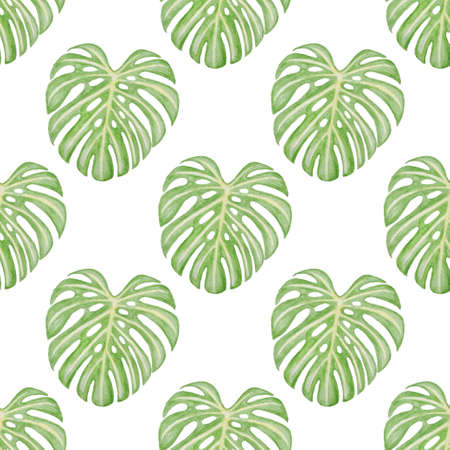 Summer watercolor seamless pattern with green tropical leavesの写真素材