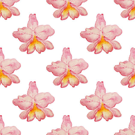 Tropical watercolor seamless pattern with pink orchids on a white backgroundの写真素材
