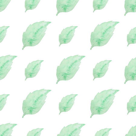 Summer floral watercolor seamless pattern with green leaves on a white backgroundの写真素材
