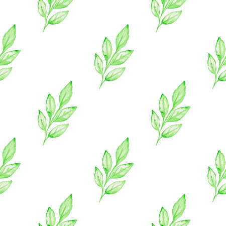 Summer floral watercolor seamless pattern with green branch on a white backgroundの写真素材