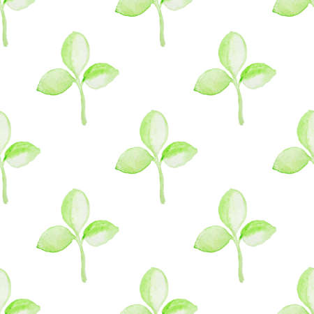 Summer floral watercolor seamless pattern with green plants on a white backgroundの写真素材