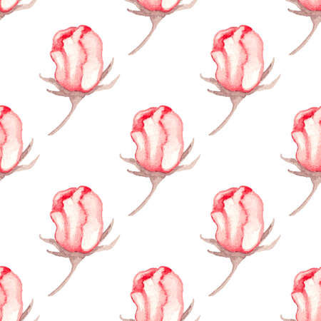 Hand drawn watercolor seamless pattern with red roses on a white backgroundの写真素材