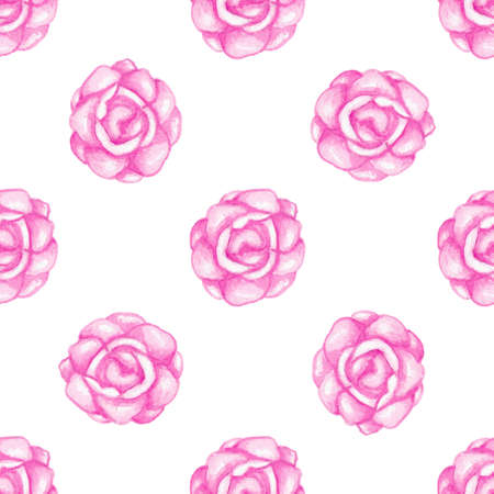 Hand drawn watercolor seamless pattern with pink roses on a white backgroundの写真素材