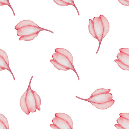 Hand drawn watercolor seamless pattern with red flowers on a white backgroundの写真素材