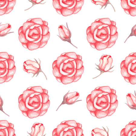 Hand drawn watercolor seamless pattern with red roses on a white backgroundの写真素材
