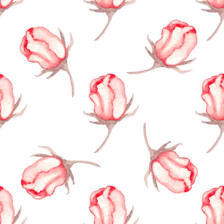 Hand drawn watercolor seamless pattern with red roses on a white backgroundの写真素材