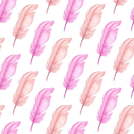 Hand drawn watercolor seamless pattern with pink feathers on a white backgroundの写真素材
