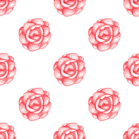 Hand drawn watercolor seamless pattern with red roses on a white backgroundの写真素材