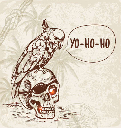 Hand drawn skull and pirate parrot. Vintage vector background.のイラスト素材