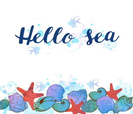 Hand drawn sea shells on a white background. Hello sea lettering.のイラスト素材