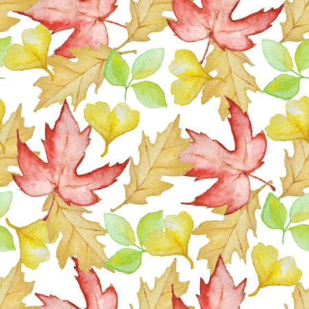 Floral watercolor seamless pattern with bright autumn leaves on a white backgroundの写真素材