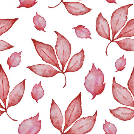 Floral watercolor seamless pattern with red autumn leaves on a white backgroundの写真素材