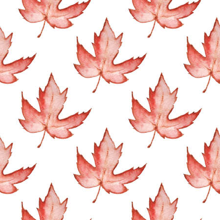 Floral watercolor seamless pattern with red maple leaves on a white backgroundの写真素材