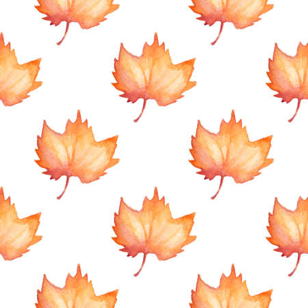 Floral watercolor seamless pattern with orange autumn maple leaves on a white backgroundの写真素材