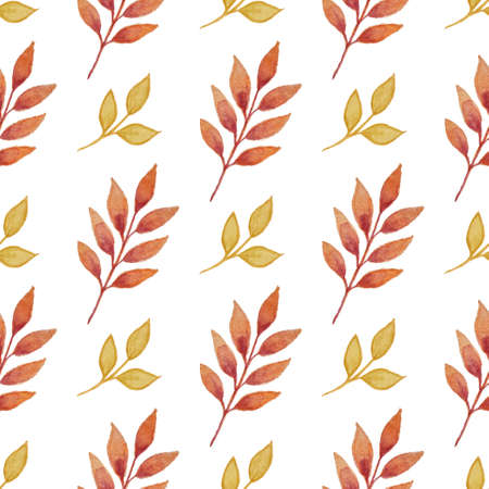 Floral watercolor seamless pattern with autumn leaves on a white backgroundの写真素材