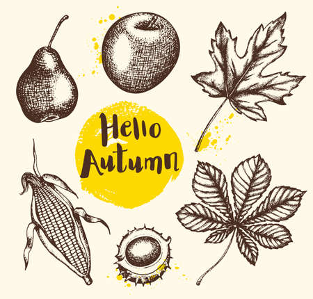 Set of vector vintage autumn plants and fruits. Hand drawn illustration.のイラスト素材