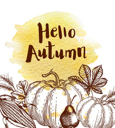Hand drawn autumn vintage background with leaves, corn and pumpkinsのイラスト素材