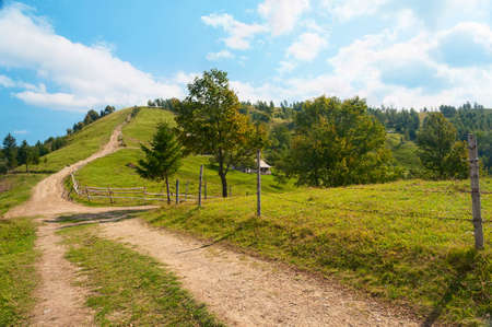 The road to the top of the mountain. Carpathian autumn mountains landscape. Natural landscapes of Ukraine.の写真素材