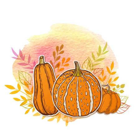 Autumn with orange pumpkins and watercolor textureのイラスト素材