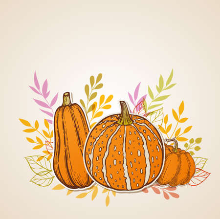 Autumn background with orange pumpkins. Vector illustration.のイラスト素材