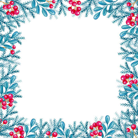 Hand drawn watercolor Christmas background with fir branch and red berries. の写真素材
