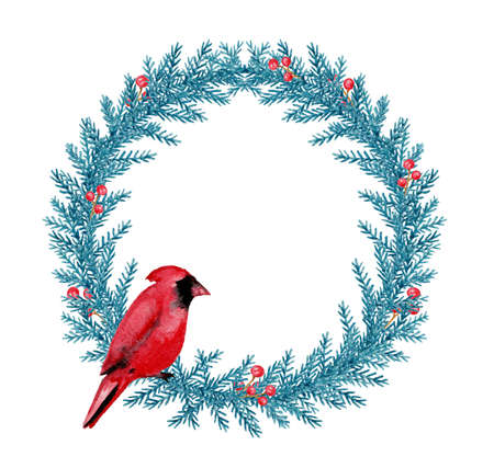 Decorative hand drawn watercolor Christmas wreath. Green fir branches and red cardinal bird on a white background.の写真素材